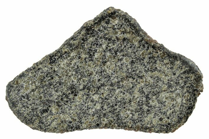 Martian Shergottite Meteorite ( g) Slice - NWA #337546